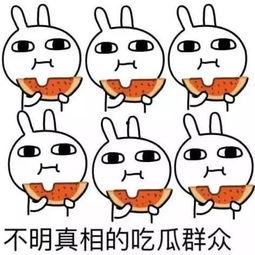 熊猫人动画吃瓜视频,吃瓜视频带你领略趣味横生的美食世界