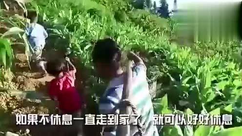广艺校花吃瓜视频大全,吃瓜视频大全盘点