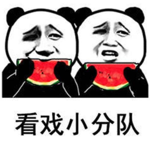 吃瓜表情包震撼视频,笑料横飞，网络狂欢